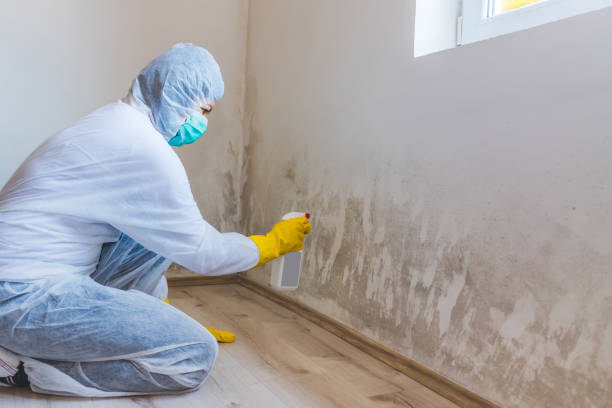 Mold Remediation specialist working in Mineral Point